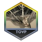 caption=Badge