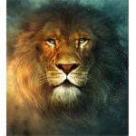 knights of the lion
