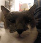 ChunkyGames