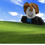 s i m u lation