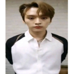 Straykids 4th gen leaders