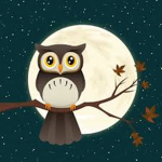 Night Time Owls