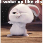 Bunny merch