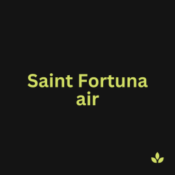 Saint Fortuna Air [EARLY ACCESS] [BETA]