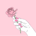 Au Revoir rose