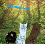 Jayfeather Is Pro