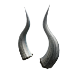Draconic Horns Of Betula