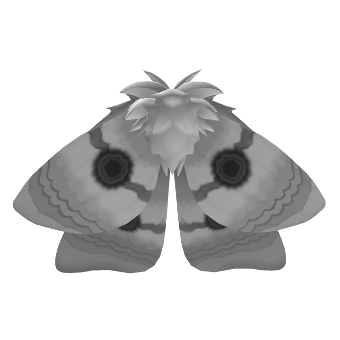 Moth Wings
