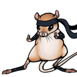 The rat ninjas