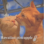 Hawaiian pineapple