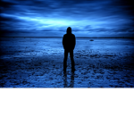 wolfnightshadow
