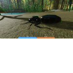 viv Ant life fan club