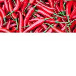 Hot Pepper Fan Club!