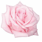 Desirose