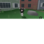 stivi1234fgfg shop