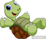 Turtles smashen Tortugas Group Thumbnail
