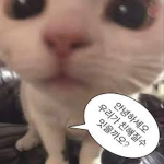 파도재단 - [공식그룹]