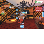 S RANKS