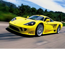 Car Racers