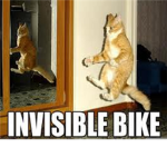 pet owners
