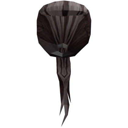 Xigbar's Black & Gray Ponytail Hair Roblox item