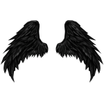 Black Angelic WIngs