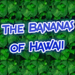 The Bananas of Hawaii