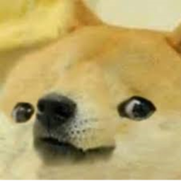 doge ranking center