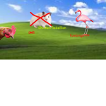Chicken Rebellion