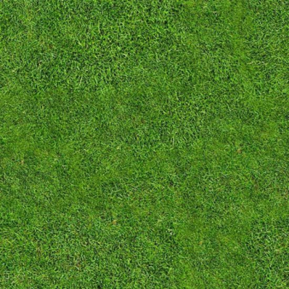 seamless grass texture (for building) Roblox decal