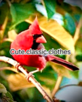 Cute.classic.clothes