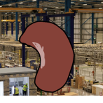 Cool beans factory