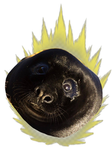 Anime Seal Gods