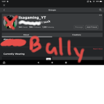 NO MORE LISA GAMING!!!!!