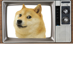 Doge Television