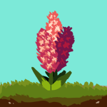 hortus