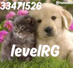 LevelRG