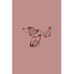 Butterflies butter