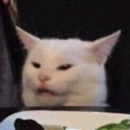 Meme cat Roblox decal