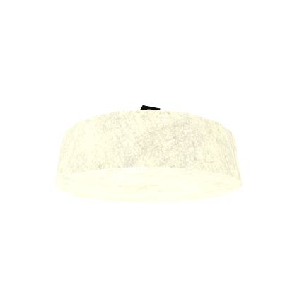Roof Lamp