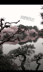 SERXC