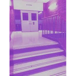 The Middle School D