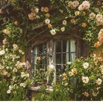 \ - CottageCore - /