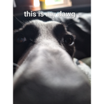 da hooooood ig