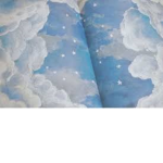Stars In the night sky