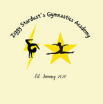 PinkPanther Gymnastics