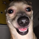 KeitaGuu