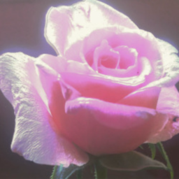 𝓉𝒶𝓁𝑒