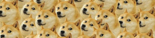Doge-ism