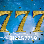 ._777_.